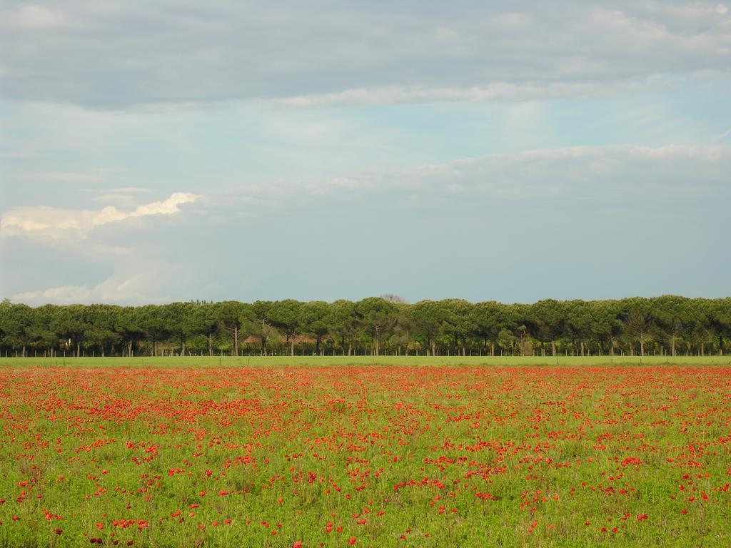 Appartamento Rossella Bibione Exteriér fotografie